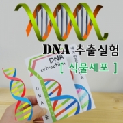 식물세포 DNA추출법(10인용)