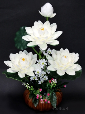 동자연꽃(흰색)