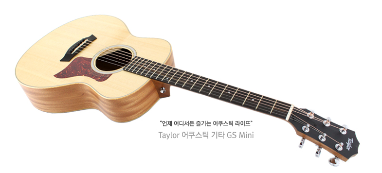 Taylor-GS-Mini(10)_181537.jpg