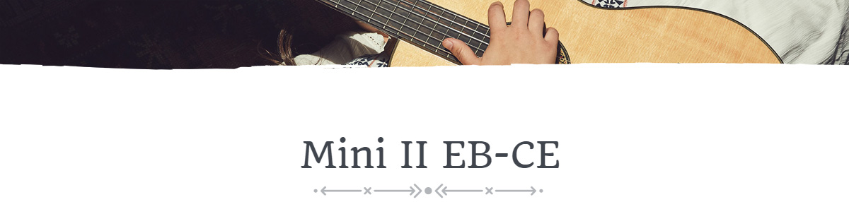 Mini-II-EBCE-Detail_01_shop1_184807_182235.jpg