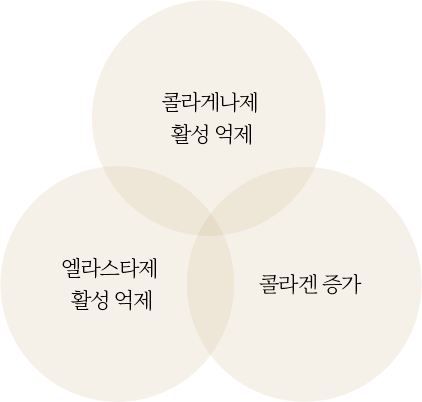 이너시그널 한국오츠카