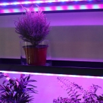 셀프미 LED 간접조명 식물등 이케아 무드등 꽃조명